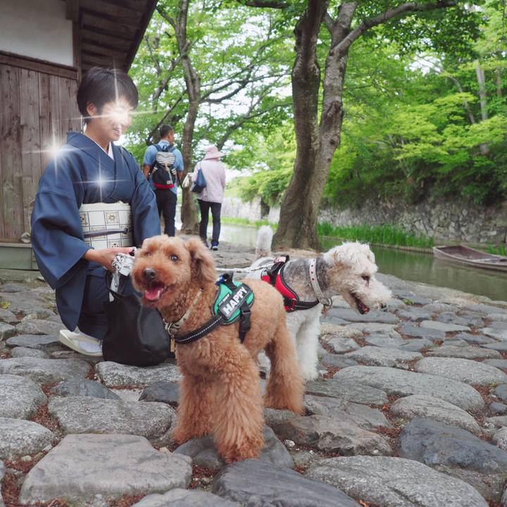 E1fbf4fc acac 4e55 80f5 6655856868e3 1560246980055