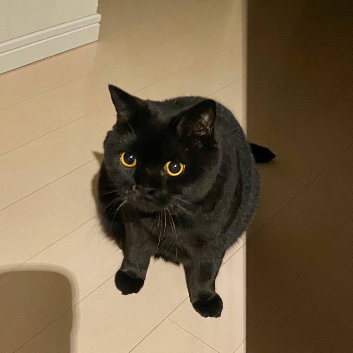 E1fc00b2 b806 4139 adb2 250e14ad8696 1598880921453