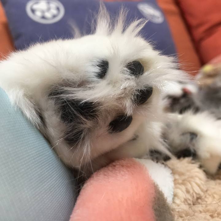 E1fc0aca b2d9 40b9 ab9d 70003106e0b3 1554083023811