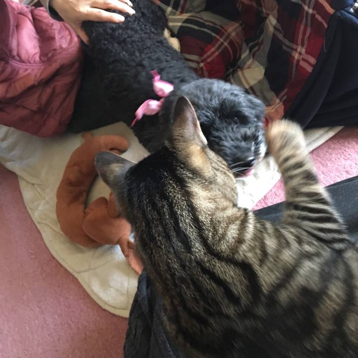 E1fc2534 4fb0 4680 ab80 6297e3af870d 1555130550096