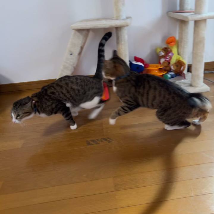 E1fc3401 0665 4169 aa6a e605edefc882 1722515380137