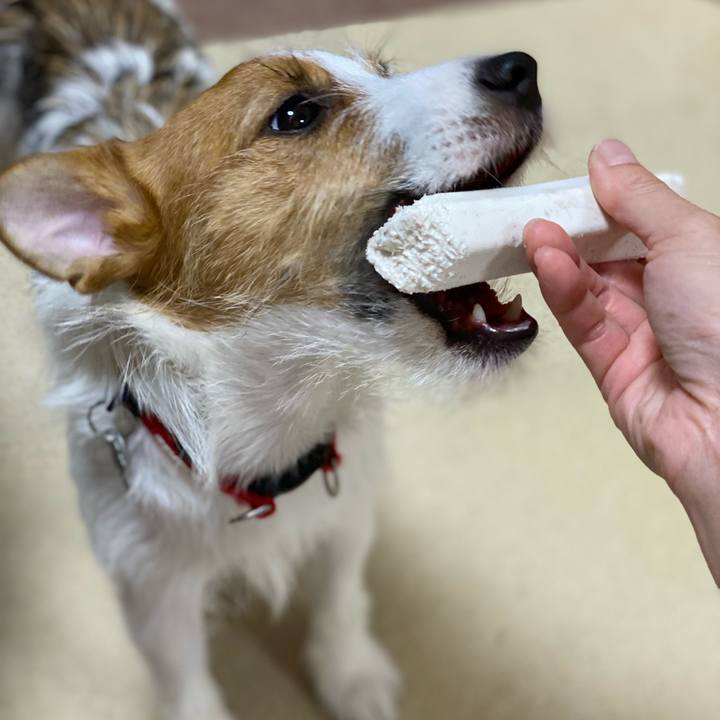 E1fc709f 1675 473a b97e 966b20344b08 1632144067129