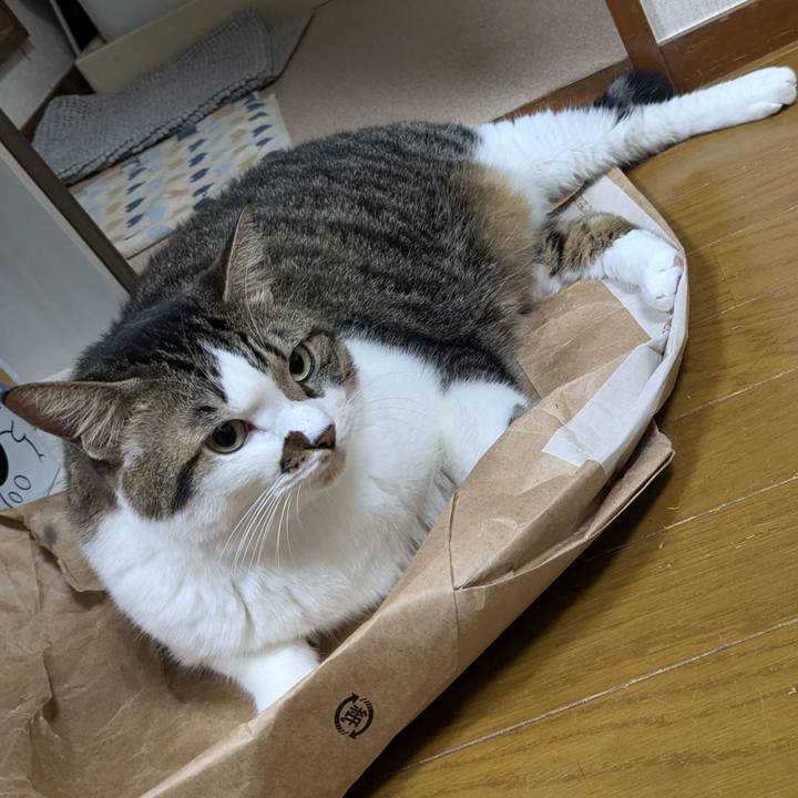 E1fc7c13 41a6 40bd a3b3 e454ab9bb80f 1729857440628