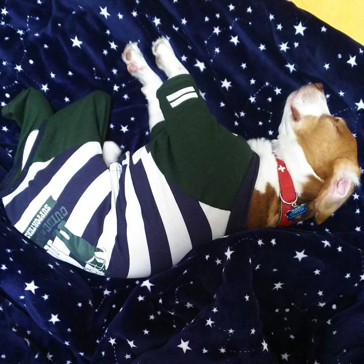 E1fc8922 282a 48ef 92a6 effc4824404a 1608302648370