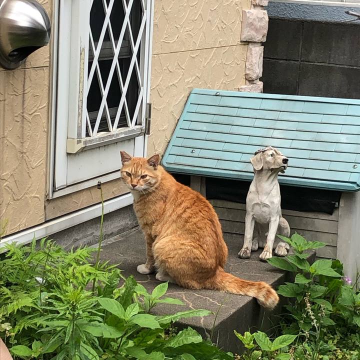 E1fcdf4b 5f22 4c7b a247 8f87bb52dd26 1626242162984