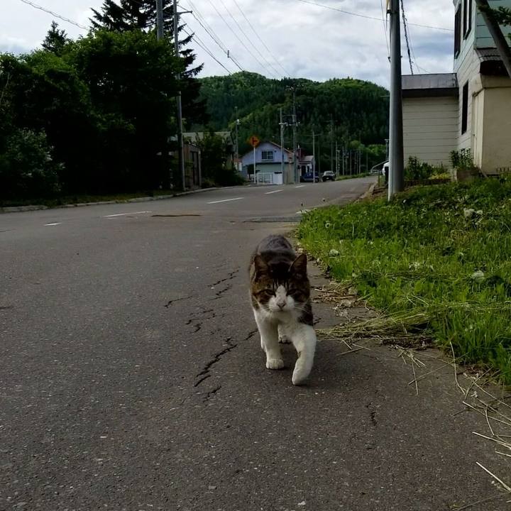 E1fd0011 e07f 4c85 8a6c 78781f9a7ca5 1591920615369