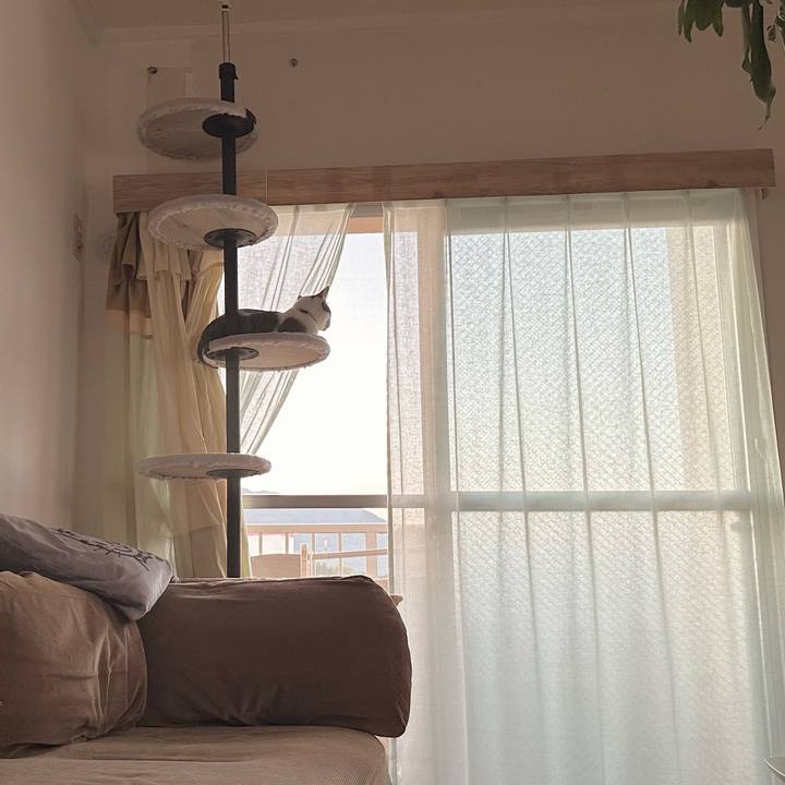 E1fd0b9b 98bf 4d67 be2f 7f2caa226de3 1759267209492