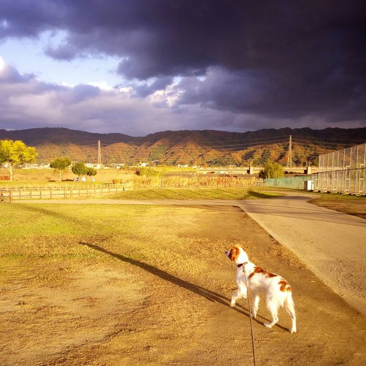 E1fd0cac 4150 47d6 b881 91741e021b7b 1512127603406