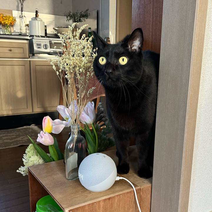 E1fd4dae f0f5 4186 9681 1d51c53f8e32 1706753606980