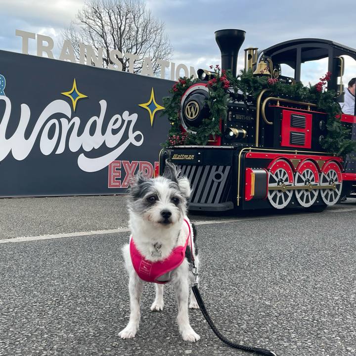 E1fd5271 ca59 436b 94a9 5030da0dca91 1766401687680