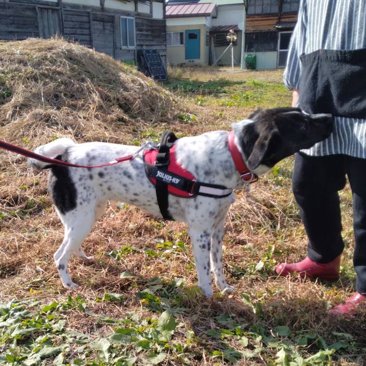 E1fd55b6 0525 4b2d b46e 6da6c2ac303b 1668052122853