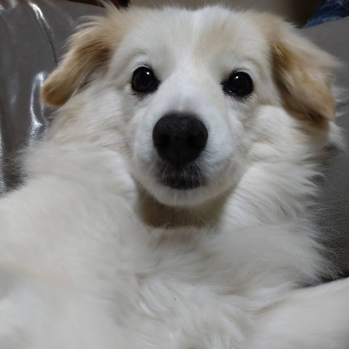 E1fd63c2 c864 404c b7bd 2d7503ad74b6 1652093664651