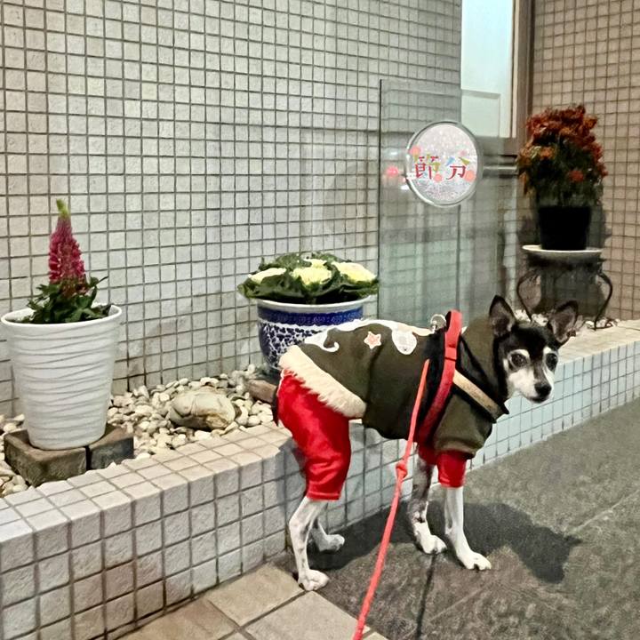 E1fd6d0b 4c0f 403d 9767 798a8d5acd98 1643838584593