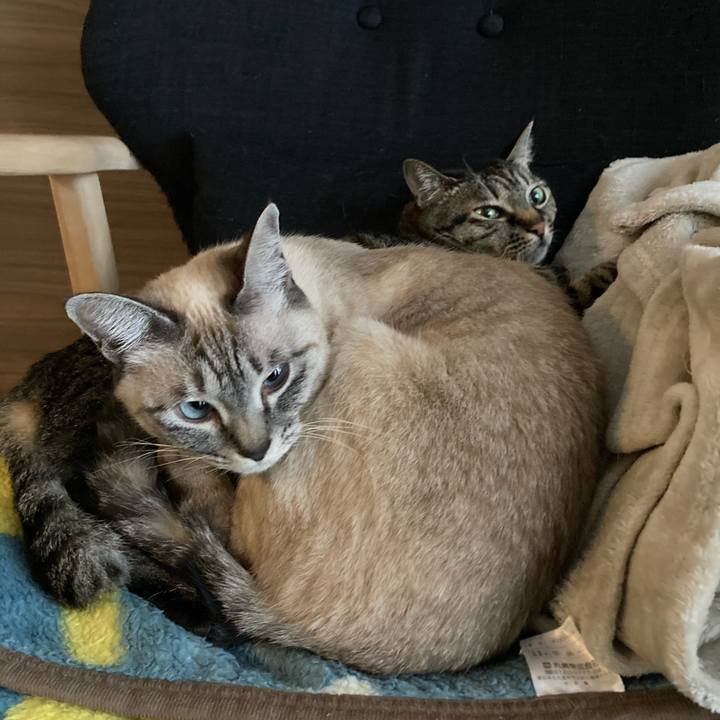 E1fdcc40 bce5 4b1b ad70 04de5f557cdf 1611378350927