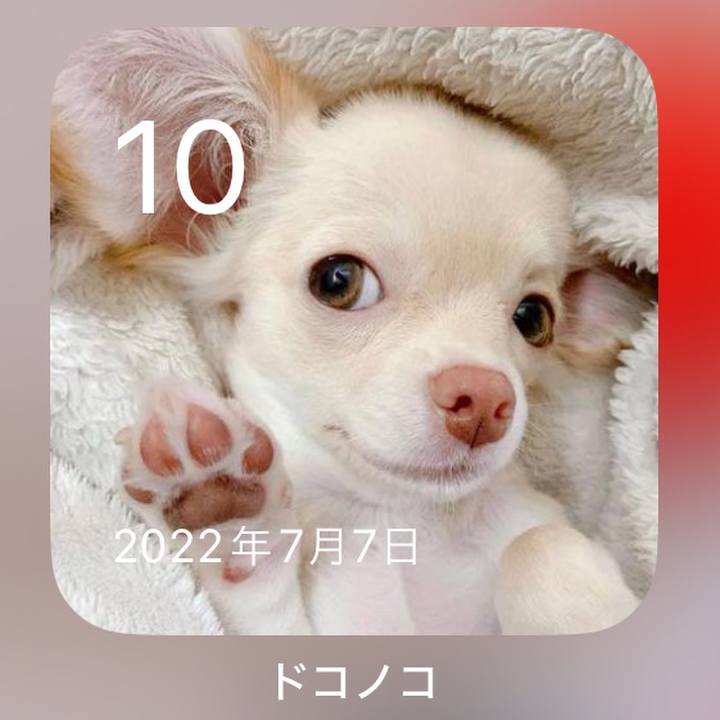 E1fde0af a5f3 4278 a6d1 6ad407cb579e 1720610515144