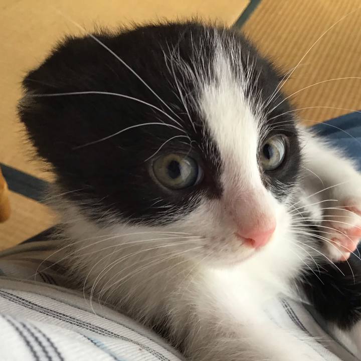 E1fde60c 9f3f 4633 960d 5a25715c10c7 1623651604138