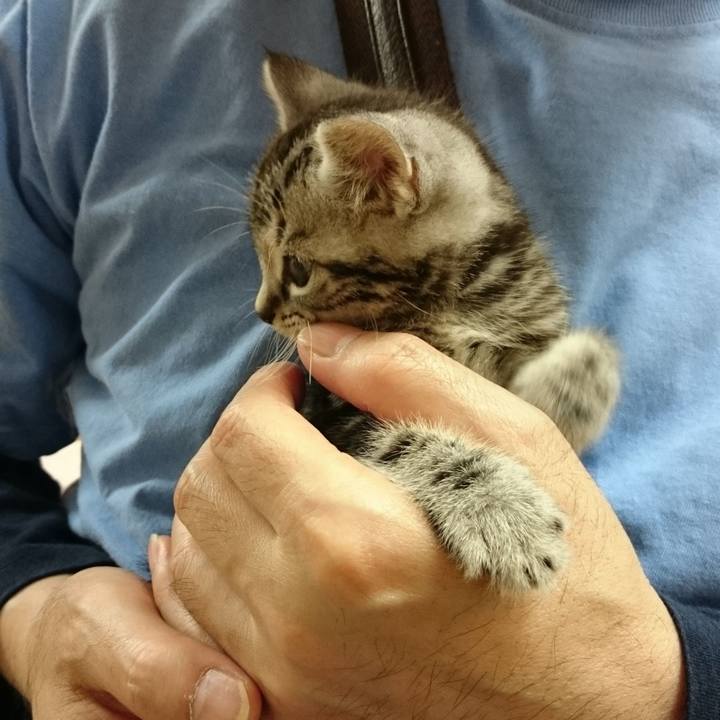 E1fdf390 78cf 4343 bad9 cb51f2261821 1550749596811