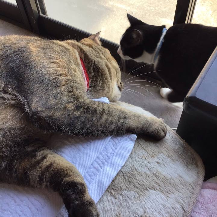 E1fe18f7 07c0 40bc 9b93 5a4a9ca08a75 1682158697446