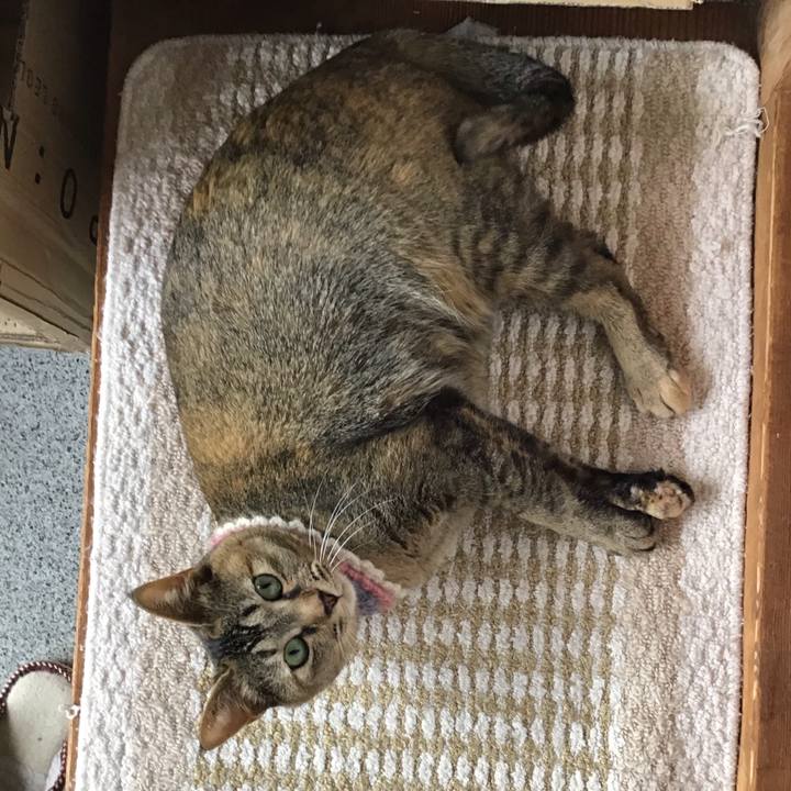 E1fe2fac b51a 4c09 b3dc 41f0af4a1b1b 1620886123245