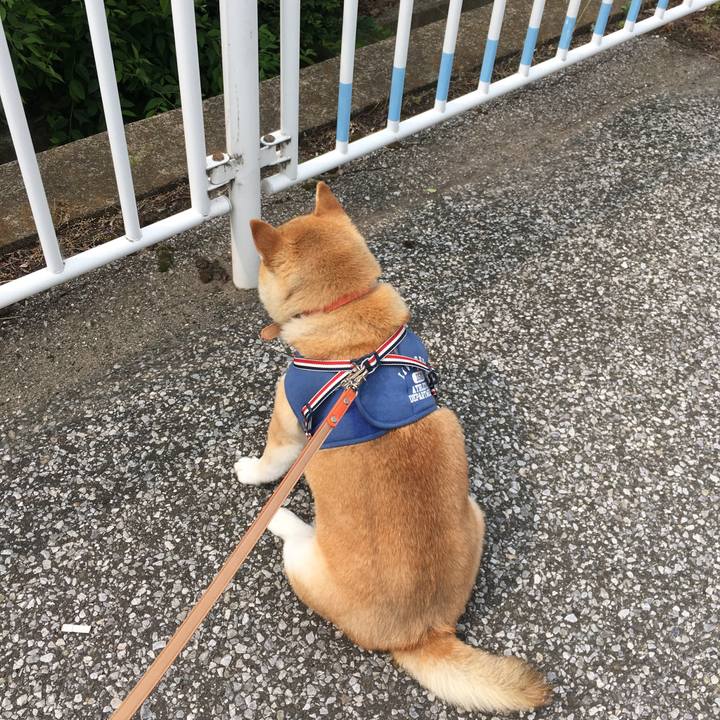 E1fe38bc de50 4d99 a021 8fe6ebcff069 1560997671256