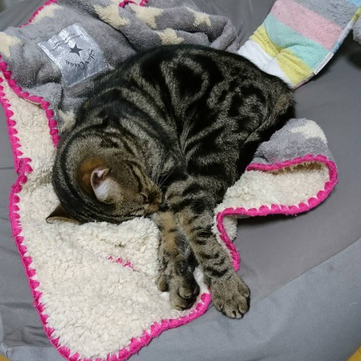 E1fe3fc0 4ba0 4b37 9ccd 7f6c2b1ccb8b 1508664159750