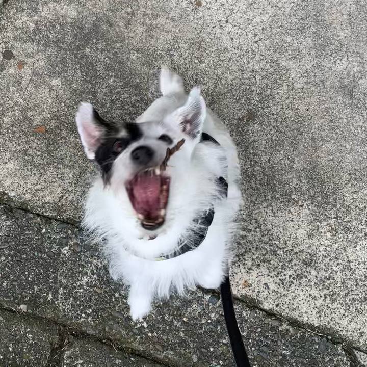 E1fee2c3 e149 4f7a 9d24 c07ef86589ef 1755041542502