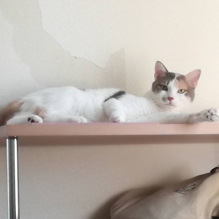 E1fee727 a4f2 47c6 86ac 91c008de246d 1534735340088