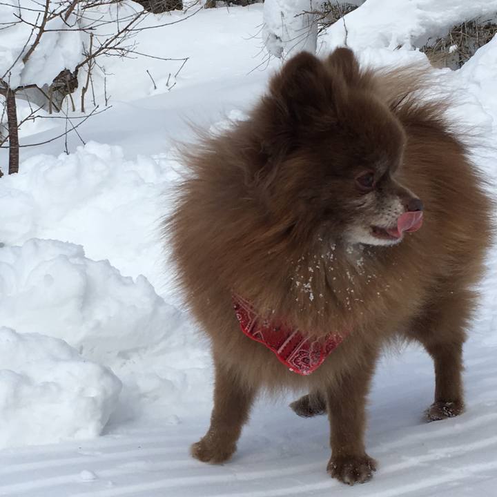 E1fef5b0 4c1a 4e74 a346 bcde8675ce3d 1518926251003