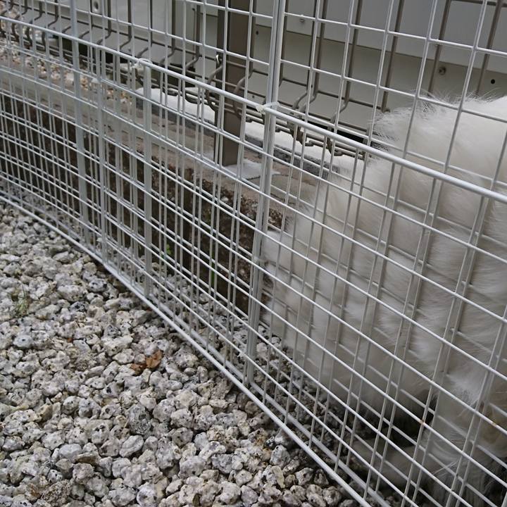 E1fefca4 8b39 4ff2 9671 5906ce37aaa3 1542090294421