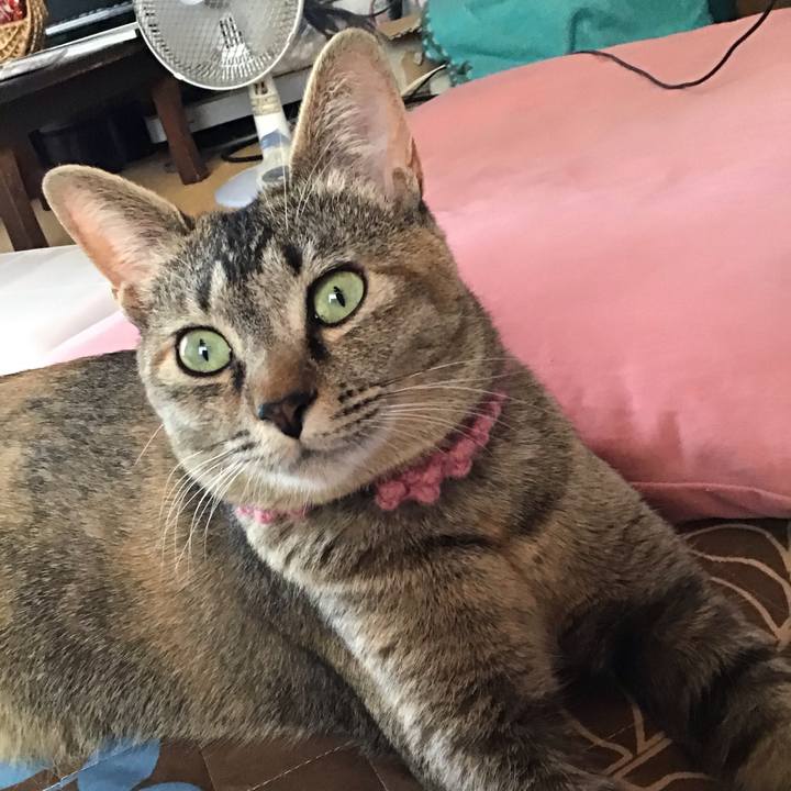 E1ff3766 5825 404a 92bd 6f6cf7efad6f 1589342652674