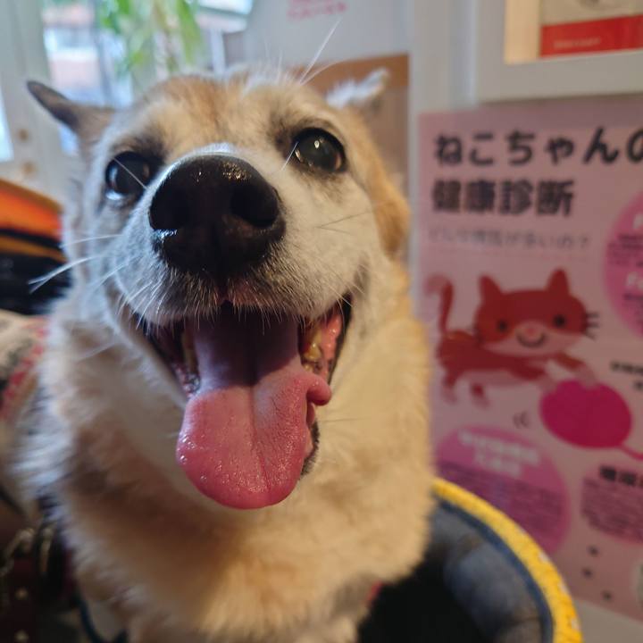 E1ff48da 0d8a 44b9 8248 531ddc8a2cd1 1716118360248