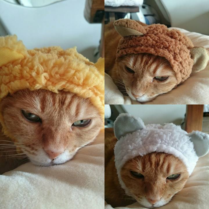 E1ffb626 0703 459c adc9 a51d5af03a26 1514086506205