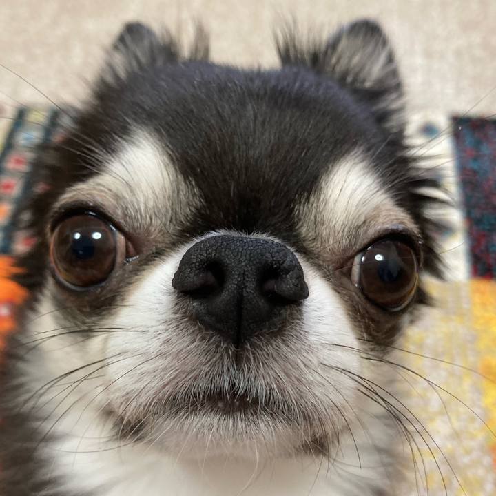 E1ffc556 a3c1 4b04 8999 d490938b3ffa 1697840919890