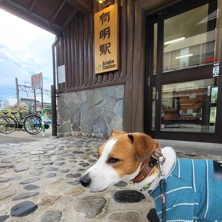 E1ffca79 f1f9 4598 a958 177550a2ae58 1696028455127