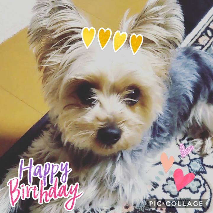 E1fffa07 f7b0 4fbc aa32 f10ba29fdd04 1613267250122