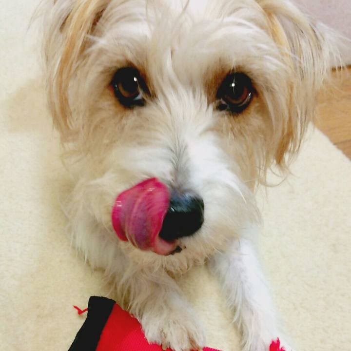 E2003203 d3eb 4067 959c bdc27ff81b31 1517496175624