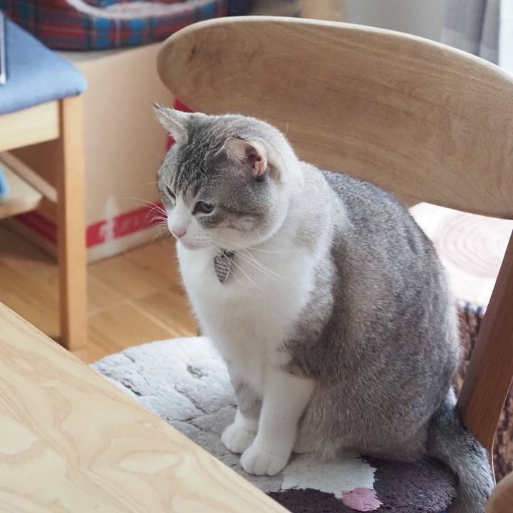 E2003f14 94a6 4542 b090 d821d02a9c0b 1651279614498