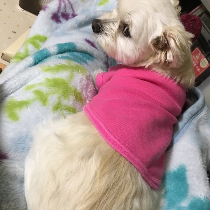 E200447b 18e9 4af4 9a59 33c9d2b37ff5 1515161384833