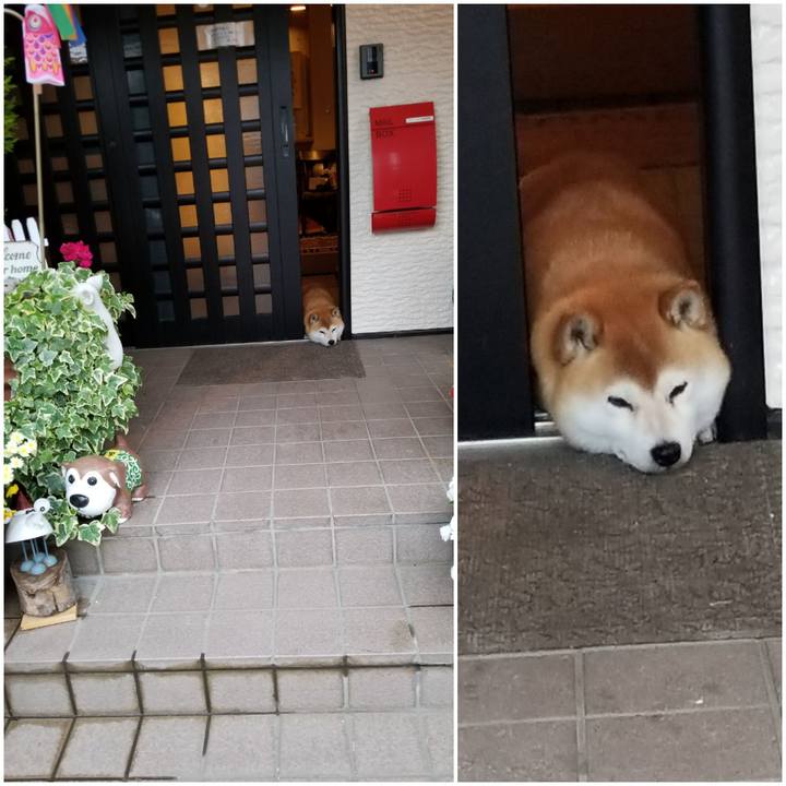 E20065cc e284 4091 97e7 64493a235297 1590139930678