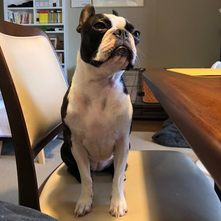 E20082be d88c 4d6b 8bce 29b850bb1e74 1598758643605