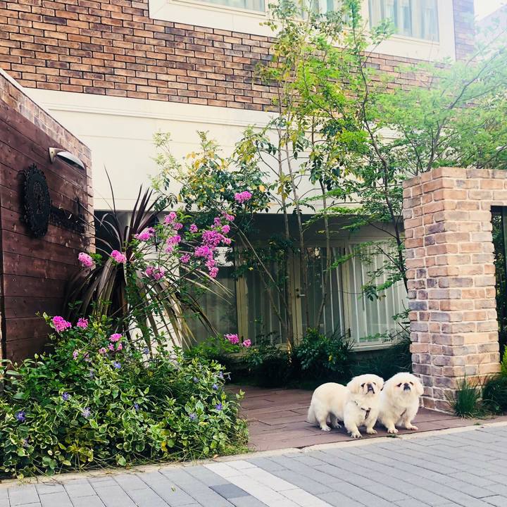 E200a1d7 12da 482d 8dd9 7667fecda51d 1555822758949