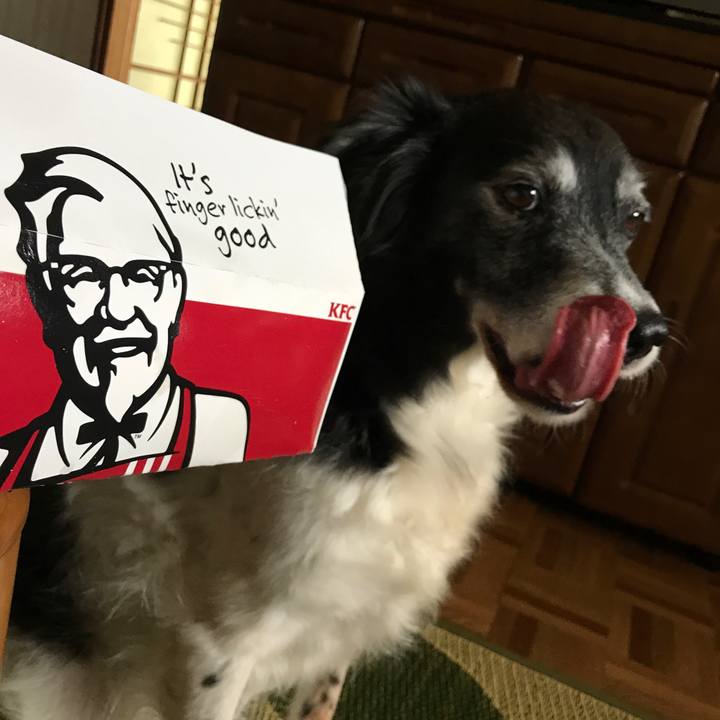 E200bcf7 8289 4bea a242 e44e65bf018f 1535437089729