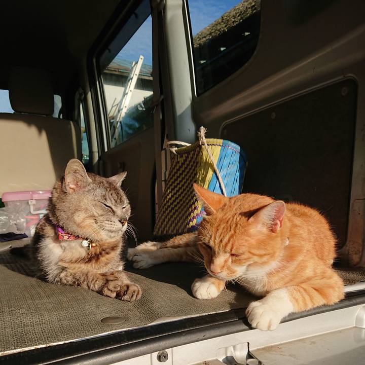 E201090c 0483 41e8 97f3 49046daa28b5 1595539986709