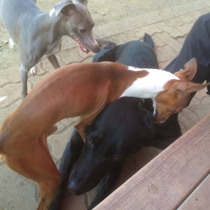 E2011f49 defe 41ae b8b0 e55edda7e666 1522549885048