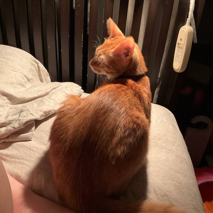 E2013ad5 21b6 48fa b106 144b057c8227 1632778440365