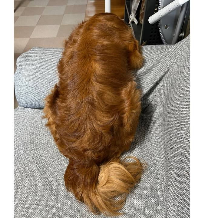 E20174c2 c761 4db6 949d edf17a99e6bd 1757577629768