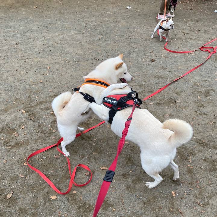 E20179b8 9801 41f9 b29c 1cc9233e9187 1637483781746