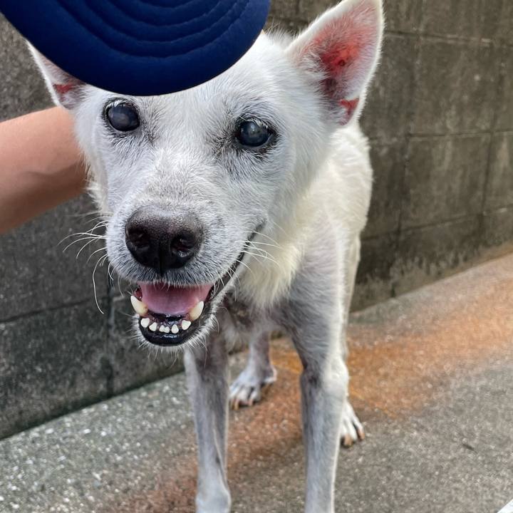 E2018977 14e6 4030 83e5 5fdc967982ca 1697111311716