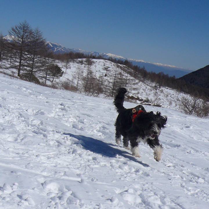 E201d837 275d 41ba 9a06 790c85f96bba 1547629522473