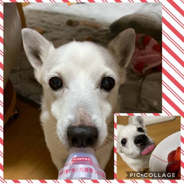 E201ed54 d128 484d b635 416c4c56dd15 1768005929462